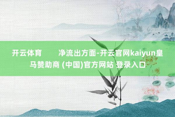 开云体育        净流出方面-开云官网kaiyun皇马赞助商 (中国)官方网站 登录入口