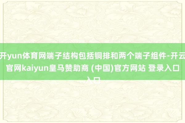 开yun体育网端子结构包括铜排和两个端子组件-开云官网kaiyun皇马赞助商 (中国)官方网站 登录入口