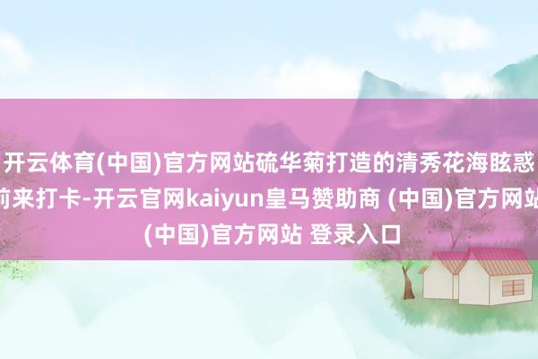开云体育(中国)官方网站硫华菊打造的清秀花海眩惑开阔市民前来打卡-开云官网kaiyun皇马赞助商 (中国)官方网站 登录入口